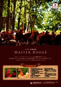 a4_tate_master-rougeのサムネイル